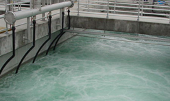 Wastewater Treatment Processes